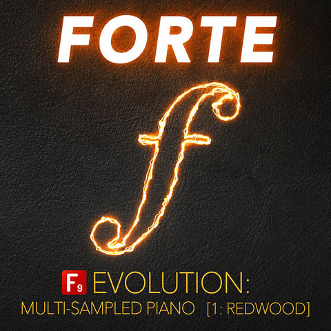 FORTE Evolution Piano : 1 Redwood - F9 Audio Royalty Free loops & Wav Samples